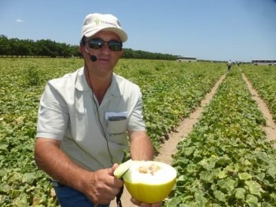 Melão Rei - Divulgação