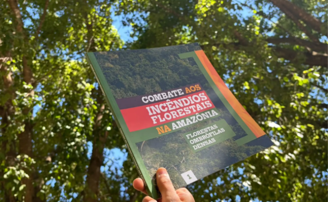 combate-incendios-florestais-amazonia.jpg