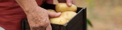 conexao-batata-brasileira-2026-feira-batata