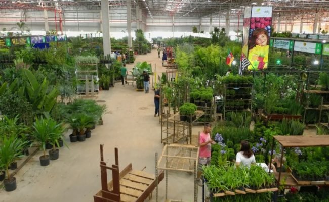 congresso-paisagismo-para-todos-2026-ceaflor.jpg