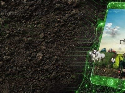 coopercitrus_2020_12