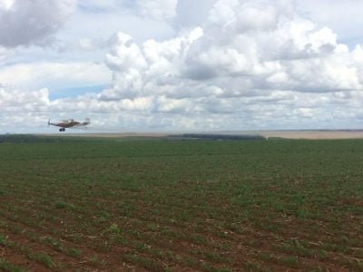 Produtora de grãos e fibras passa a monitorar pulverização de defensivos