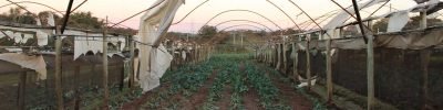 credito agro sp