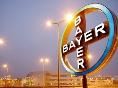 cruz-bayer