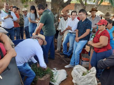 curso agroecologia