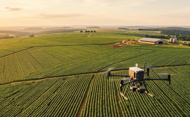 curso-mercados-ilicitos-insumos-agricolas-usp (Pequeno)