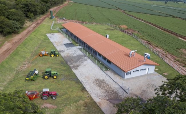 curso-tecnico-agronegocio-etasa