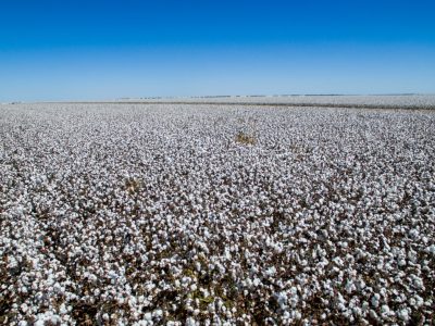 FMC apresenta soluções inovadoras para cotonicultura no 12ª CBA