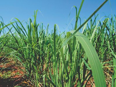 d691d32a-53c4-4c71-afc2-6bda626cd7c1