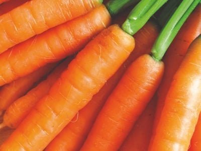 Cenoura de inverno: Qual a época certa de plantio?