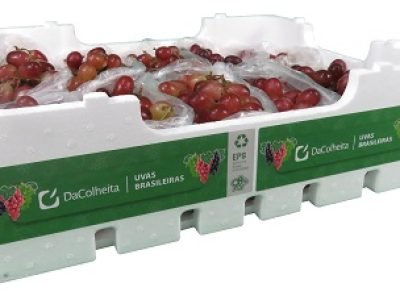 dacolheita