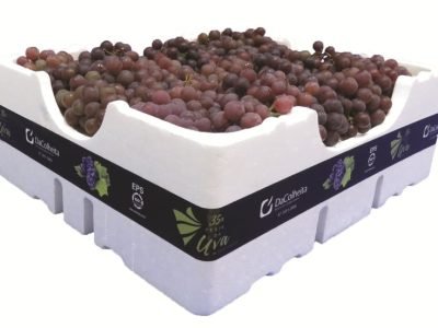 dacolheita_uva_2018_p