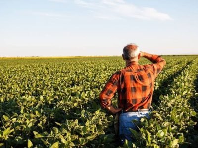 Produtividade nem sempre rima com lucratividade