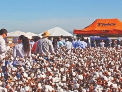 Para cada situação, a TMG tem uma solução