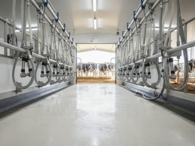 detergente_para_ordenhadeira_Cadium_Agro