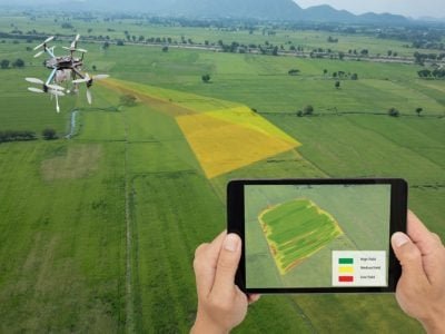 Agronegócio passa por virada digital e pede gestão para alavancar