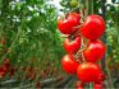 download-1-32-100x70