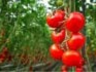 download-1-32-100x70