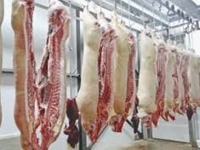 Frigorífico_ Créditos Internet