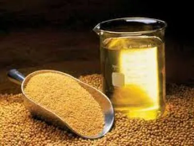 Grãos de soja representando o complexo soja no Brasil, com foco no processamento industrial e na produção de derivados como farelo e óleo, simbolizando o crescimento do esmagamento de soja e a expansão da indústria brasileira em 2026.