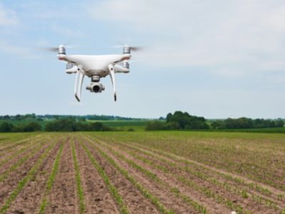 drone quad copter with high resolution digital camera on green corn field, agro