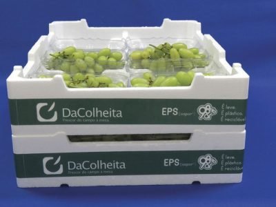 Embalagem - Crédito: Termotécnica