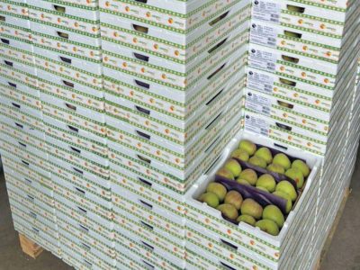 Embalagem - Foto: Termotécnica