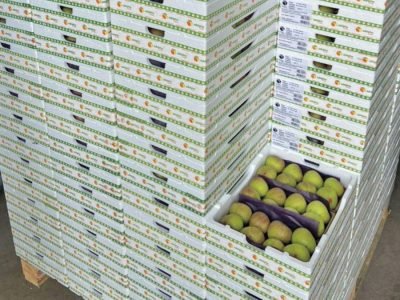 Embalagem - Foto: Termotécnica