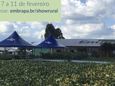 Embrapa - Foto: Divulgação