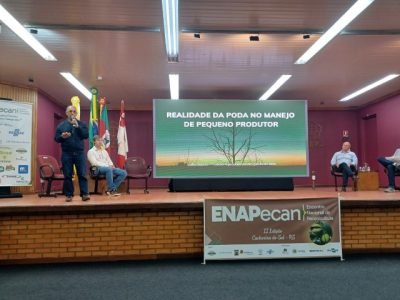 enapecan-2026-cinco-eixos-noz-peca