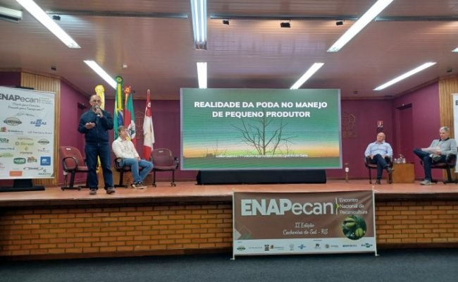 enapecan-2026-cinco-eixos-noz-peca