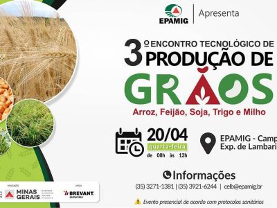 encontro_tecnico_producao_graos_2022_img_destacada
