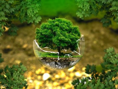 environmental-protection-ge8e3da737_640