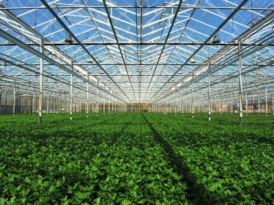 Estufa - Foto: Shutterstock