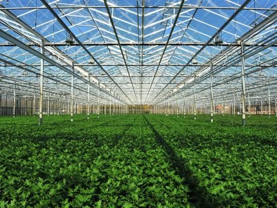 Estufa - Foto: Shutterstock