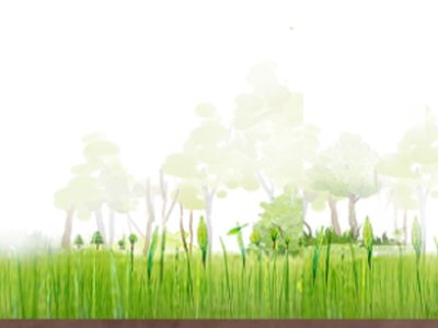 Evento - Foto: Divulgação