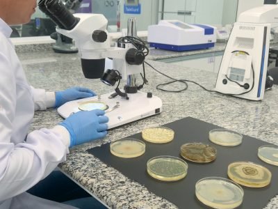 Aplicação do bionematicida Exclusiv Evo em lavoura de soja para controle biológico de nematoides.