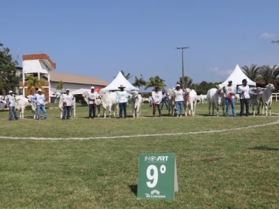 exponel-ouro-vila-velha-2026.jpg