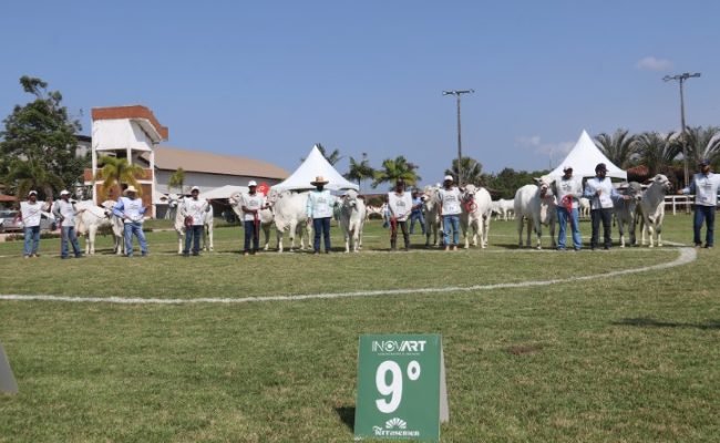 exponel-ouro-vila-velha-2026.jpg