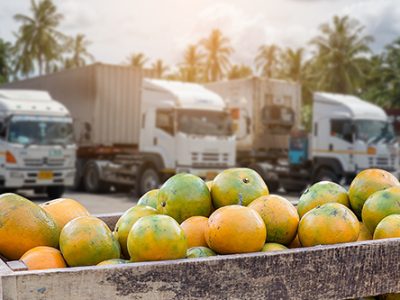 exportacao-de-frutas-no-Brasil