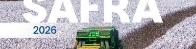 exportacoes-algodao-brasil-recorde