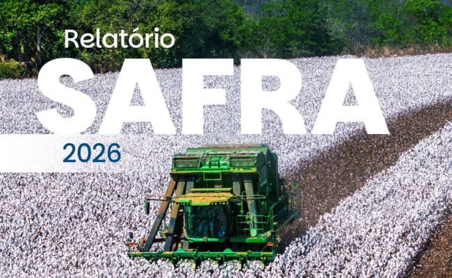 exportacoes-algodao-brasil-recorde