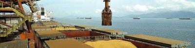 exportacoes-de-soja-para-a-china-1500x992 (Pequeno)