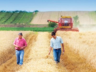 Produtor - Crédito: Shutterstock