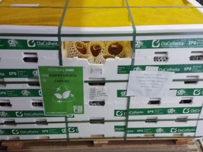 farmfreshmanga_Franca