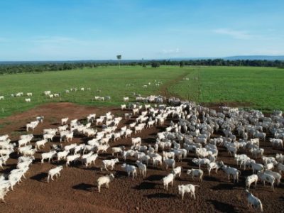 fazenda-Sao-Valentim-Pontes-e-Lacerda-Telefone