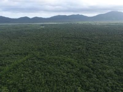 fazenda iguape 2 (Telefone)