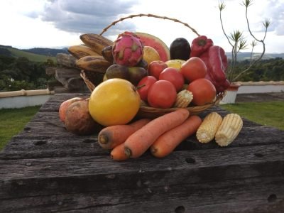 Legumes e frutas - Créditos: genesisgroup