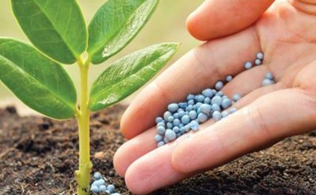 Imagem mostra fertilizante / Arquivo