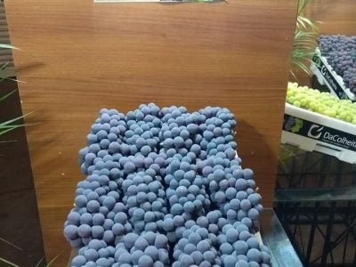 DaColheita destaca qualidade da uva produzida no interior de São Paulo